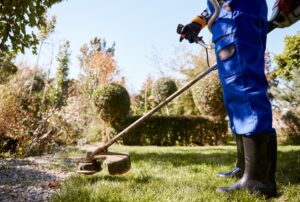 Garden Maintenance St Ives Tips for Strong Roots and Soil Health