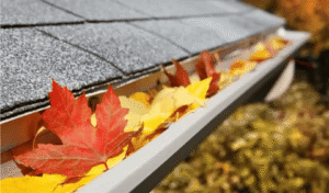 Why Professional Gutter Cleaning is Essential for Sunbury Homeowners