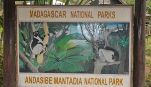 Get Your Madagascar Visa from Djibouti with Ease Today