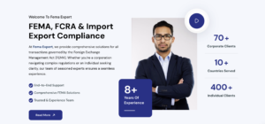 Comprehensive FEMA Consultant Services for Seamless Cross-Border Business Operations