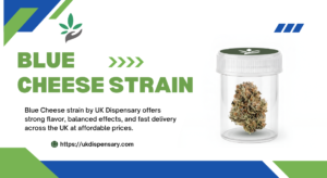 Best Blue Cheese Strain Guide – UK Dispensary Hybrid Cannabis Insights