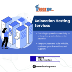 Colocation Hosting Services For Indian Businesses