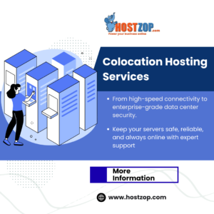 Affordable And Secure Colocation Hosting Services for Indian Businesses