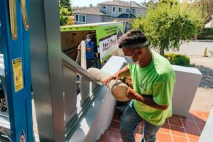 Safe and Simple Ways to Handle Attic Rodent Control for a Clean and Healthy Home