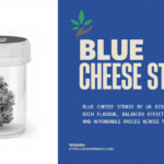 Blue Cheese Strain Guide: Benefits, Effects & Uses by UK Dispensary