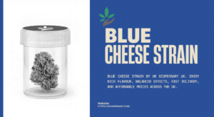 Blue Cheese Strain Guide: Benefits, Effects & Uses by UK Dispensary
