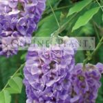 Screenshot 2026 04 10 140635