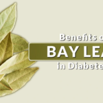 Bay Leaves (Tej Patta): A Simple Spice That Can Help Manage Diabetes Naturally 3 Bay Leaves (Tej Patta): A Simple Spice That Can Help Manage Diabetes Naturally