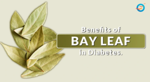 Bay Leaves (Tej Patta): A Simple Spice That Can Help Manage Diabetes Naturally