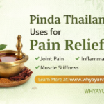 You Won’t Believe These Pinda Thailam Uses for Pain Relief!