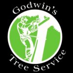 Godwins tree