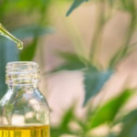 What Hemp Products Mean For Brands Scaling Bulk Orders Across Markets?