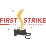 firstfirestrike