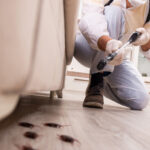 Blog 1 Banner image Winterizing Your Commercial Property Tips to Keep Pests Away During Cold Months