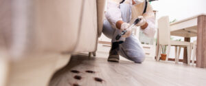 How to Choose the Best Pest Control Services in Bangalore for Long-Term Protection
