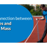 diabetes and muscle mass