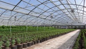 Hot Dip Galvanized Pipes: Why Are They the Most Durable Solution for Construction, Water Systems, and Industrial Infrastructure Today? 1 Hot Dip Galvanized Pipes: Why Are They the Most Durable Solution for Construction, Water Systems, and Industrial Infrastructure Today?