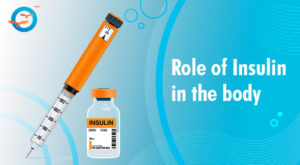 Role of Insulin in the Human Body 1 Role of Insulin in the Human Body
