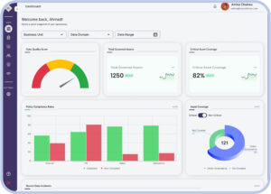 Best Data Governance Platform for Oil and Gas Companies