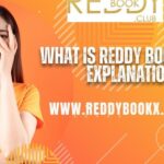 What is Reddy Book? Full Explanation 3 What is Reddy Book? Full Explanation