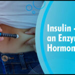Insulin: Is It an Enzyme or a Hormone? A Simple Explanation