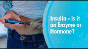 Insulin: Is It an Enzyme or a Hormone? A Simple Explanation 1 Insulin: Is It an Enzyme or a Hormone? A Simple Explanation