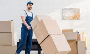 Removalist Mount Gravatt: Reliable and Affordable Moving Services