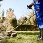 Affordable Garden Maintenance Kingsford for a Beautiful Outdoor Space