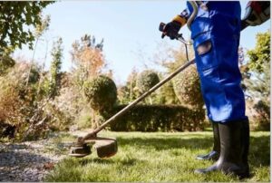 Affordable Garden Maintenance Kingsford for a Beautiful Outdoor Space