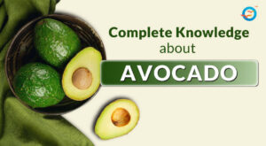 Is Avocado Good for Diabetes? 1 Is Avocado Good for Diabetes?