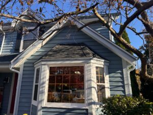 How window placement contributes to interior layout and exterior architectural balance