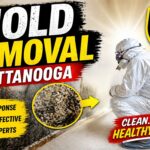 Mold Removal Chattanooga