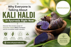 Why Everyone Is Talking About Kali Haldi in Ayurveda Right Now