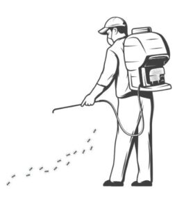 Creating Cleaner and Safer Living Spaces 1 Creating Cleaner and Safer Living Spaces