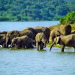 Uganda eVisa Eligibility for Greece Travellers