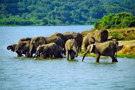 Uganda eVisa Eligibility for Greece Travellers
