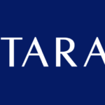 Copy of Vittara Wealth Logo 4 11
