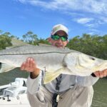 Blog 1 Tidy Timbers 2026 04 29T151822.097