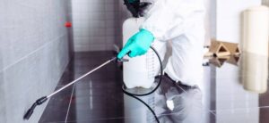 What Your Home Looks Like through an Exterminator’s Eyes