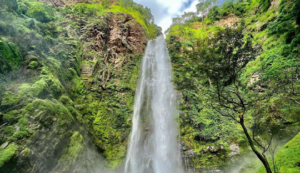 Entry Requirements for Indian Citizens