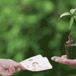 Corporate Trends Where Carbon Credits Unlock Green Financing