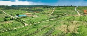 Why Hosur Is Emerging as a Hotspot for Agricultural Land Investment?