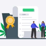 Best CBD Digital Marketing Agency in United States 1