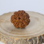 7 Powerful Signs You Need to Wear 8 Mukhi Rudraksha Right Now