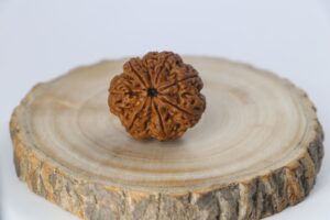 7 Powerful Signs You Need to Wear 8 Mukhi Rudraksha Right Now