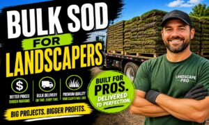 Bulk Sod for Landscapers: Why It Matters