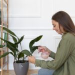 The Structural Recalibration of Cal Mag for Plants