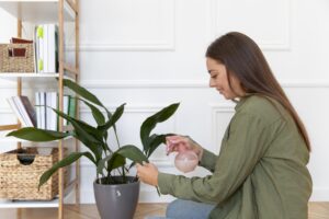 The Structural Recalibration of Cal Mag for Plants