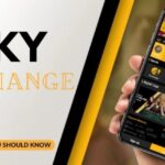 Why Cricket Fans Prefer Sky Exchange During T20 Leagues