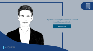 Support Legal Cases and Profit: Litigation Financing for Sponsors Overview at a Glance